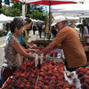 farmers market transaction farmers market transaction